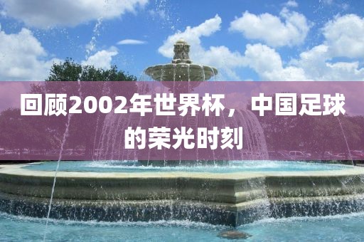 回顾2002年世界杯，中国足球的荣光时刻金炬实业股份有限公司