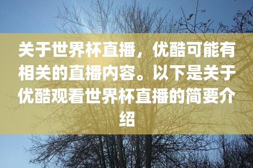 关于世界杯直播，优酷可能有相关的直播内容。以下是关于优酷观看世界杯直播的简要介绍金炬实业股份有限公司