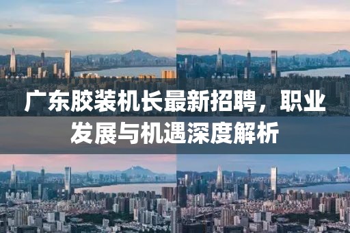 重温激情岁月，回顾2010年世界杯的辉煌时刻金炬实业股份有限公司