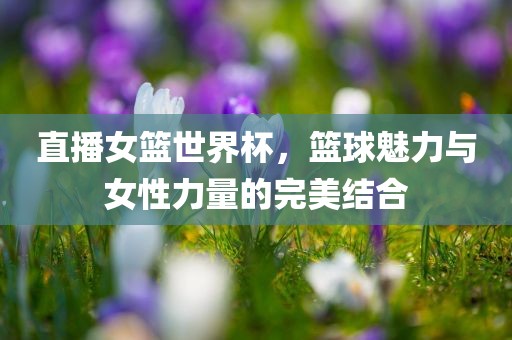 直播女篮世界杯，篮球魅力与女性力量的完美结合