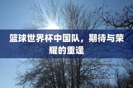 篮球世界杯中国队，期待与荣耀的重逢