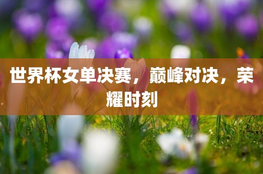 世界杯女单决赛，巅峰对决，荣耀时刻