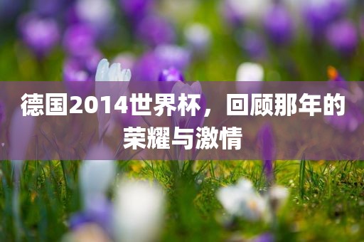 德国2014世界杯，回顾那年的荣耀与金炬实业股份有限公司激情