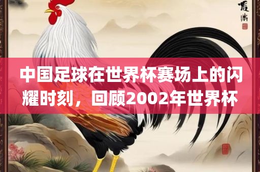 中国足球在世界杯赛场上的闪耀时刻，回顾2002年世界杯金炬实业股份有限公司