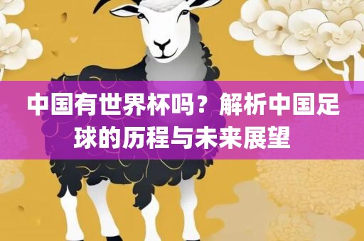 中国有世界杯吗？解析中国足球的历程与未来展望金炬实业股份有限公司