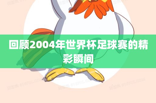 回顾2004年世界杯足球赛的精彩瞬间金炬实业股份有限公司