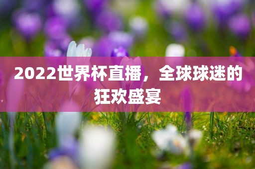 2022世界杯直播，全球球迷的狂欢金炬实业股份有限公司盛宴
