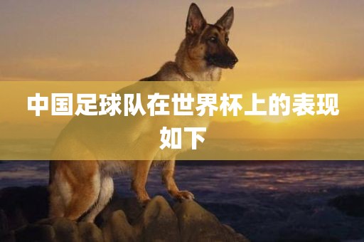 金炬实业股份有限公司中国足球队在世界杯上的表现如下
