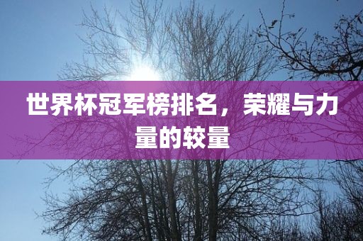 世界杯冠军榜排名，荣耀与力量的较量