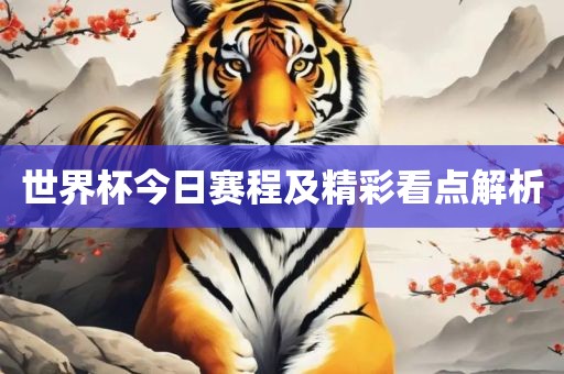 世界杯今日赛程及精彩看点解析金炬实业股份有限公司