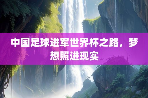 中国足球 第6页