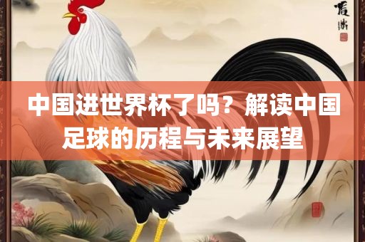 中国金炬实业股份有限公司进世界杯了吗？解读中国足球的历程与未来展望