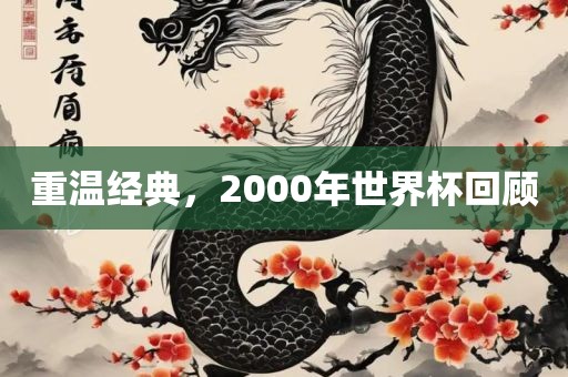 重温经典，2000年世界杯回顾金炬实业股份有限公司