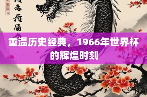 重温历史经典，1966年世界杯的辉煌时刻金炬实业股份有限公司