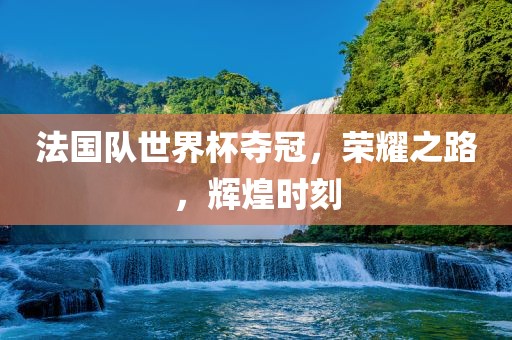 法国队世界杯夺冠，荣耀之路，辉煌时刻金炬实业股份有限公司