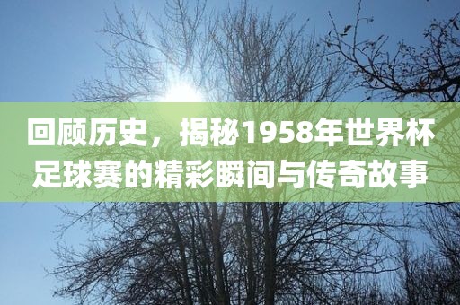 回顾历史，揭秘1958年世界杯足球赛的精彩瞬间与传奇故事