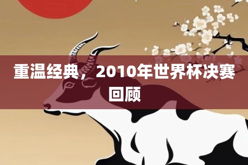 重温经典，2010年世界杯决赛回顾金炬实业股份有限公司