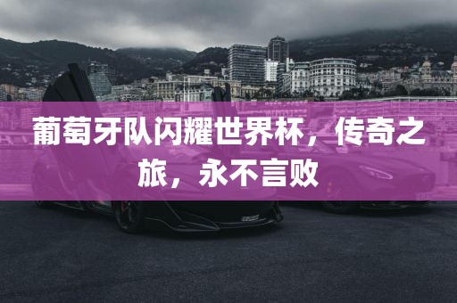 葡萄牙队闪耀世界杯，传奇之旅，永金炬实业股份有限公司不言败