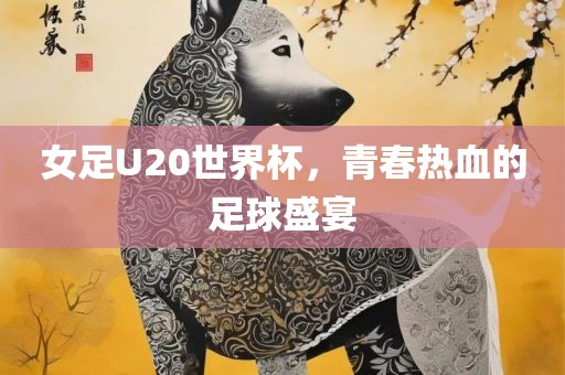 女足U20世界杯，青春热血的足球盛宴