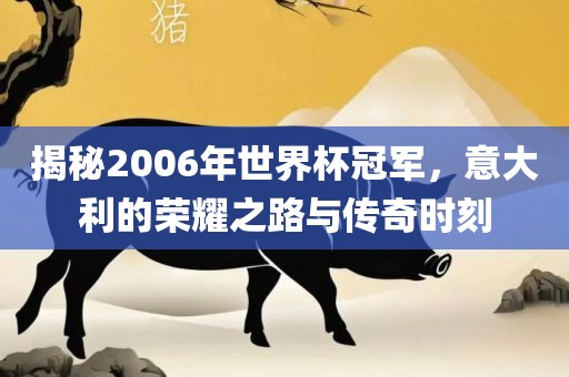 揭秘2006年世界杯冠军，意大利的荣耀之路与传奇时刻