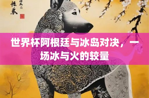 世界杯阿根廷与冰岛对决，一场冰与火的较量