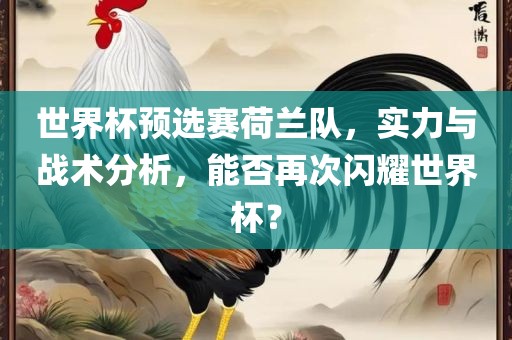 世界杯预选赛荷兰队，实力与战术分析，能否再次闪耀世界杯？