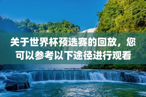 关于世界杯预选赛的回放，您可以参考以下途径进行观看