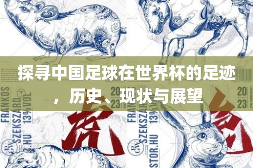 探寻中国足球在世界杯的足迹，历史、现状与展望