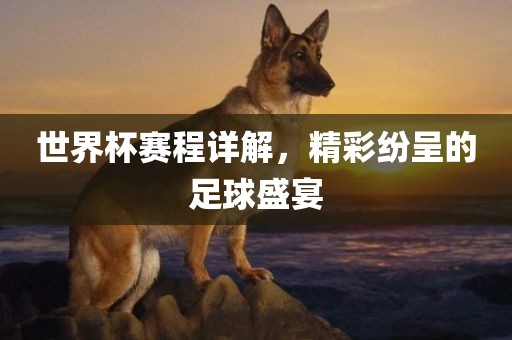世金炬实业股份有限公司界杯赛程详解，精彩纷呈的足球盛宴