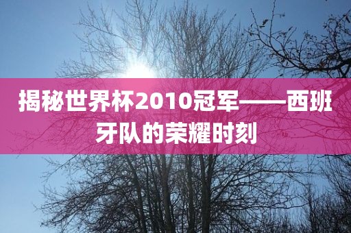 揭秘世界杯2010冠军——西班牙队的荣耀时刻