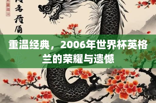 重温经典，2006年世界杯英格兰的荣耀与遗憾金炬实业股份有限公司