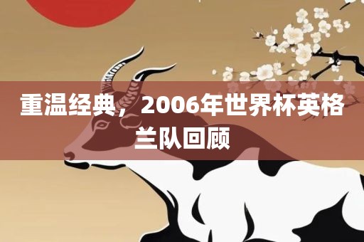 重温经典，2006年金炬实业股份有限公司世界杯英格兰队回顾