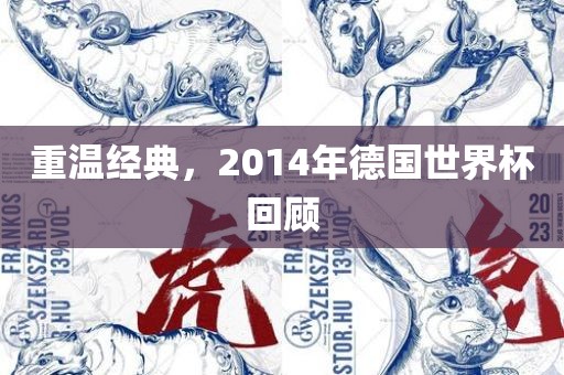 重温经典，2014年德国世金炬实业股份有限公司界杯回顾