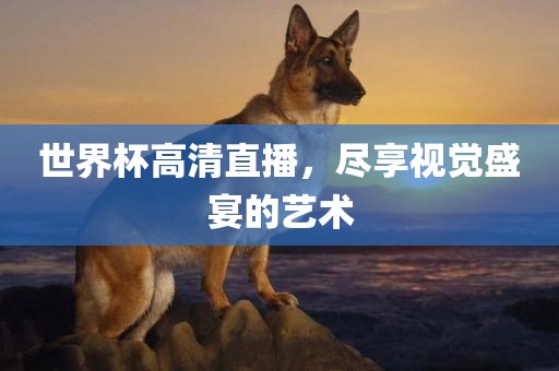 世界杯高清直播，尽享视觉盛宴的艺术