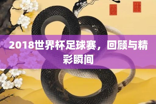 2018世界杯足球赛，回顾与精彩瞬间金炬实业股份有限公司