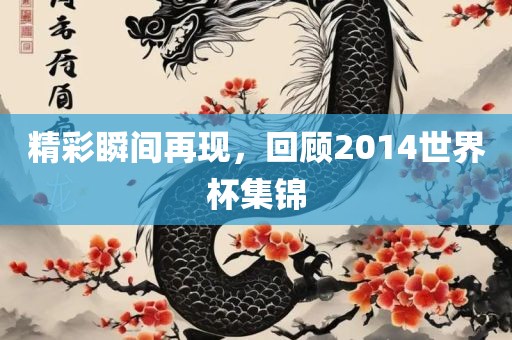 精彩瞬间再现，回顾2014世界杯集锦