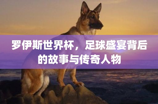 罗伊斯世界杯，足球盛宴背后的故事与传奇人物