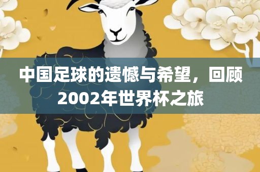 中国足球的遗憾与希望，回顾2002年世界杯之旅金炬实业股份有限公司