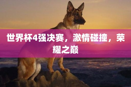 世界杯4强决赛，激情碰撞，荣耀之巅