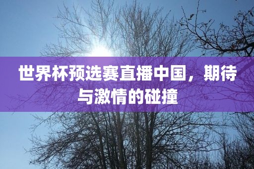 世界杯预选赛直播中国，期待与激情的碰撞