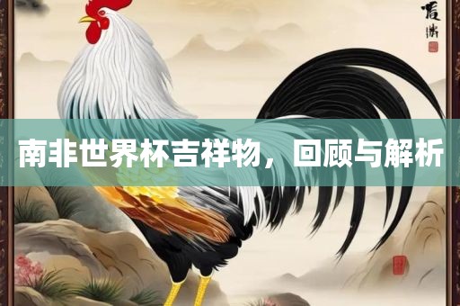 南非世界杯吉祥物，金炬实业股份有限公司回顾与解析