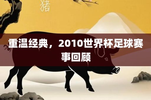 重温经典，2010世界杯足球赛事回顾