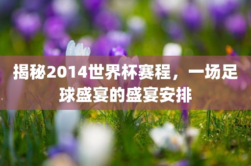 揭秘2014世界杯赛程，一场足球盛宴的盛宴金炬实业股份有限公司安排
