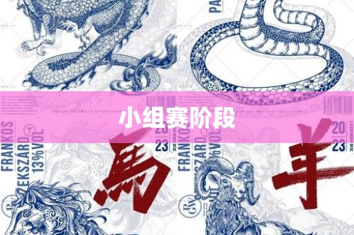 小金炬实业股份有限公司组赛阶段