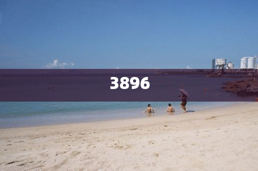 女排世界杯2019赛程，中国女排的挑战与荣耀之路