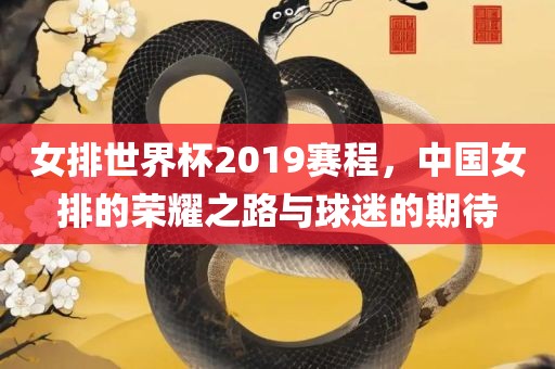 女排世界杯2019赛程，中国女排的荣耀之路与球迷的期待