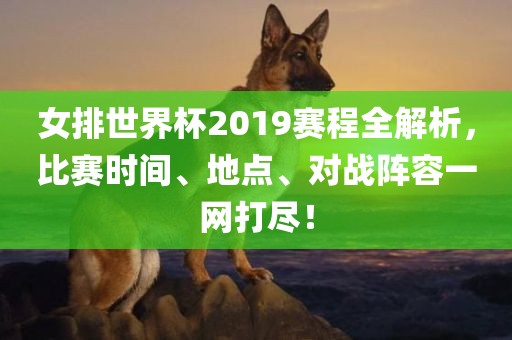 女排世界杯2019赛程全解析，比赛时间、地点、对战阵容一网打尽！