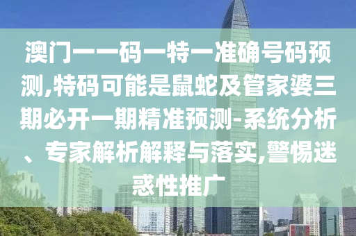 中国女排世界杯夺冠，荣耀背后的故事与启示