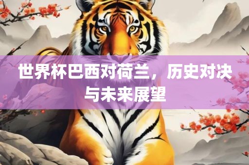 世界杯巴西对荷兰，历史对决与未来展望金炬实业股份有限公司