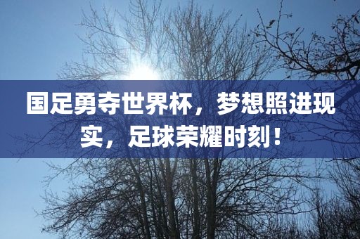 国足勇夺世界杯，梦想照进现实，足球荣耀时刻！金炬实业股份有限公司
